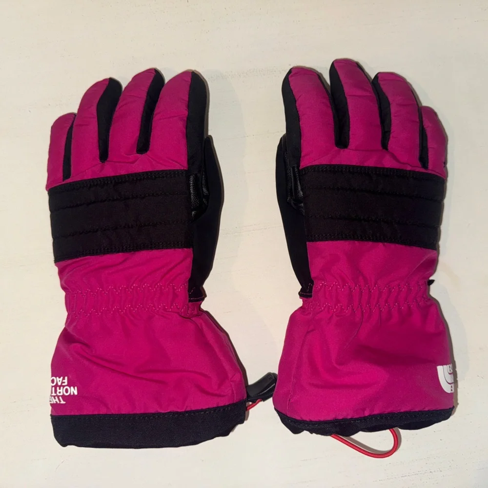 The North Face Fuchsia and Black Winter Gloves